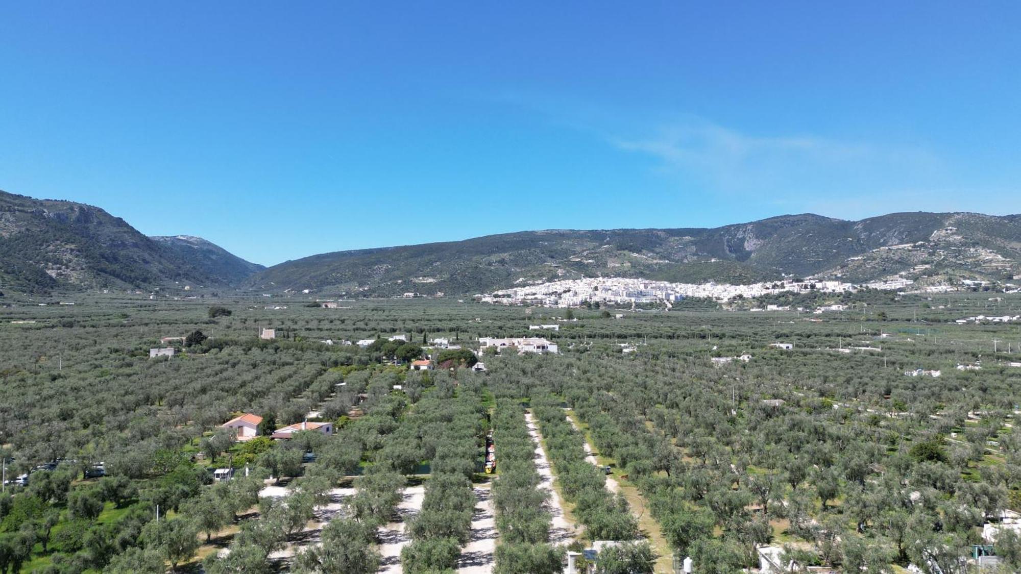 Olive&Sea Villa-Olive Mattinata Exterior photo